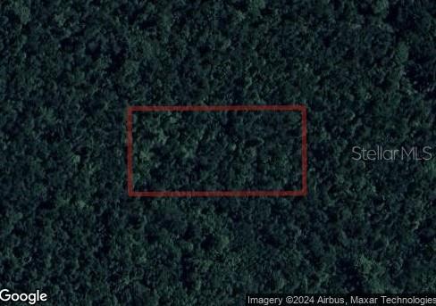 Image 4 of 6 For 28,088178-81,488442, Poinciana