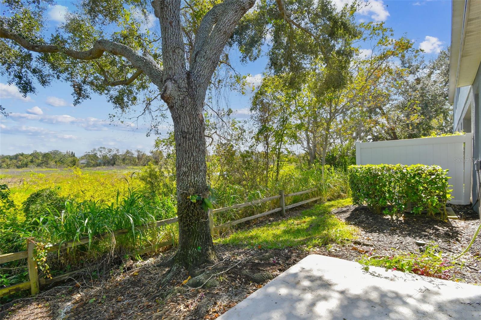 Image 39 of 55 For 1488 Travertine Terrace