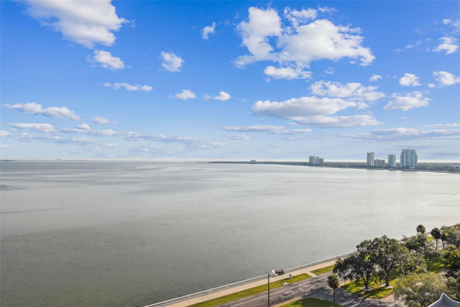 Image 50 of 59 For 2413 Bayshore Boulevard 1404