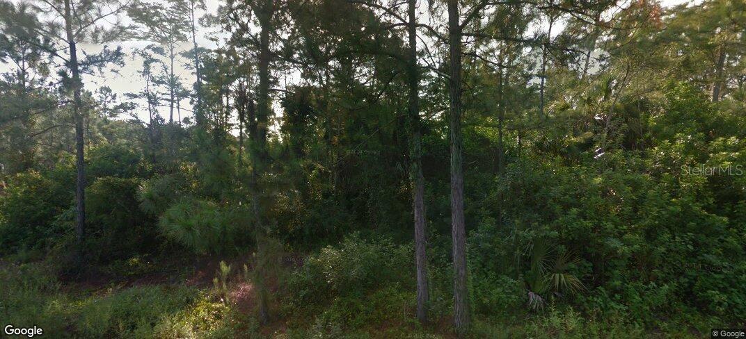 Listing Details for 843 Ontario Avenue S, LEHIGH ACRES, FL 33974