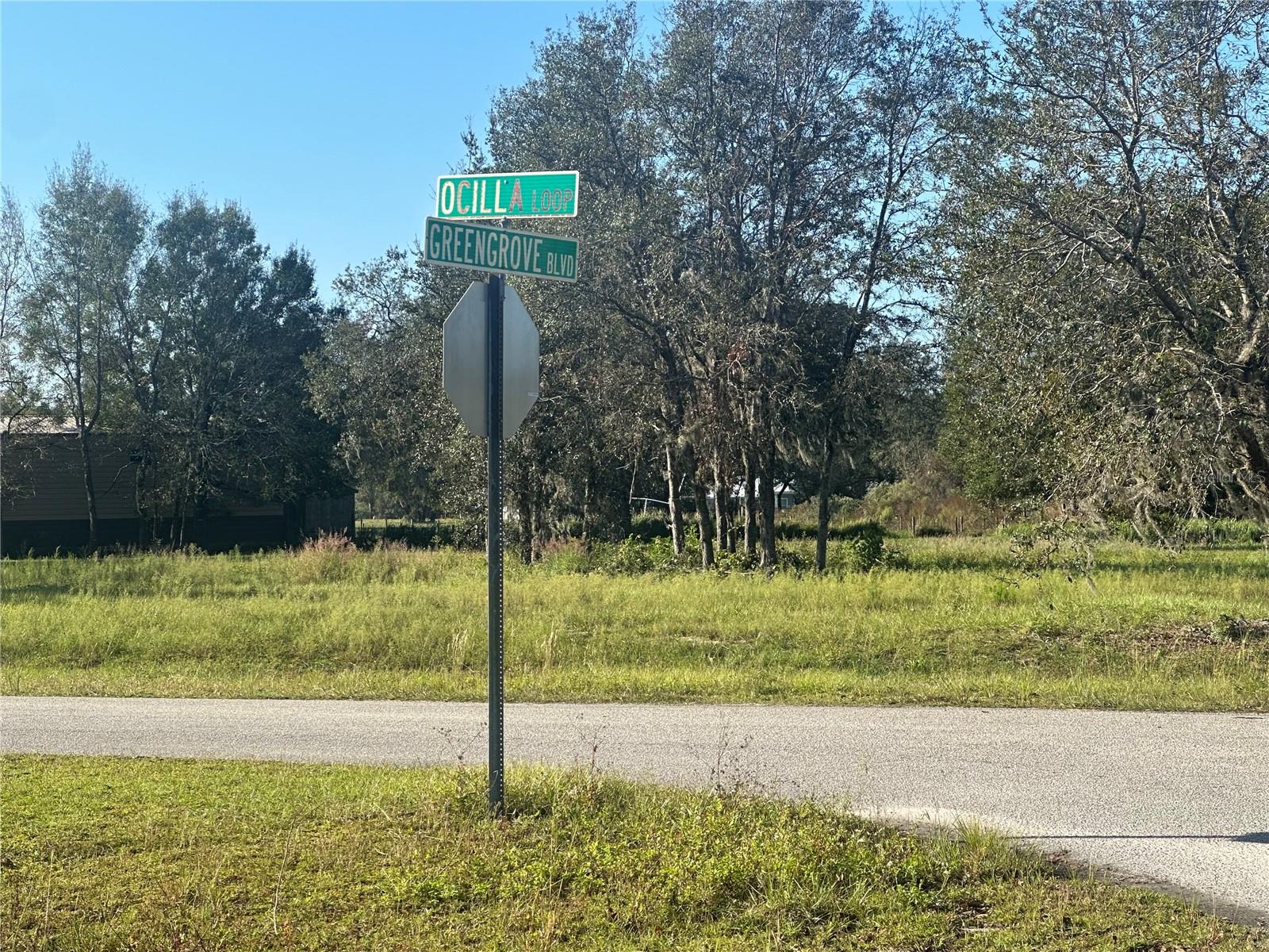 Image 11 of 12 For O Ocilla Loop