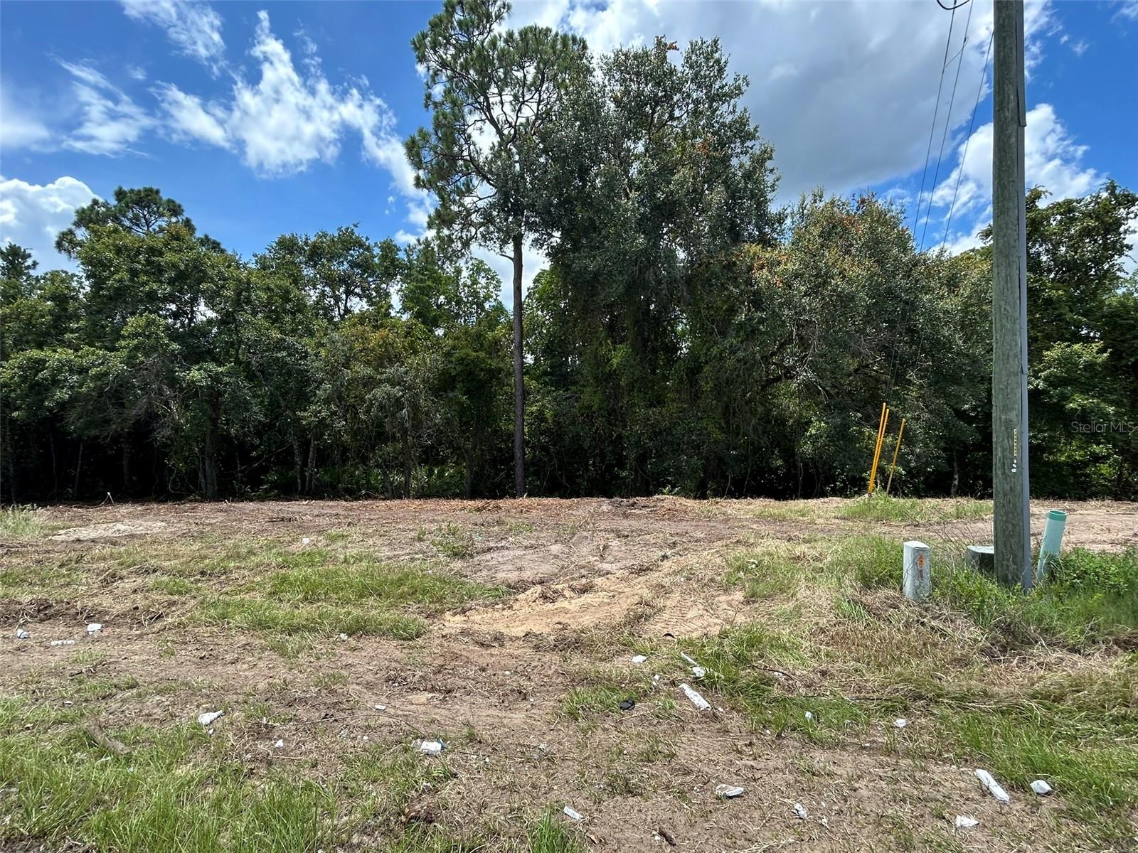 Details for 2415 Pecos Lane, POINCIANA, FL 34759