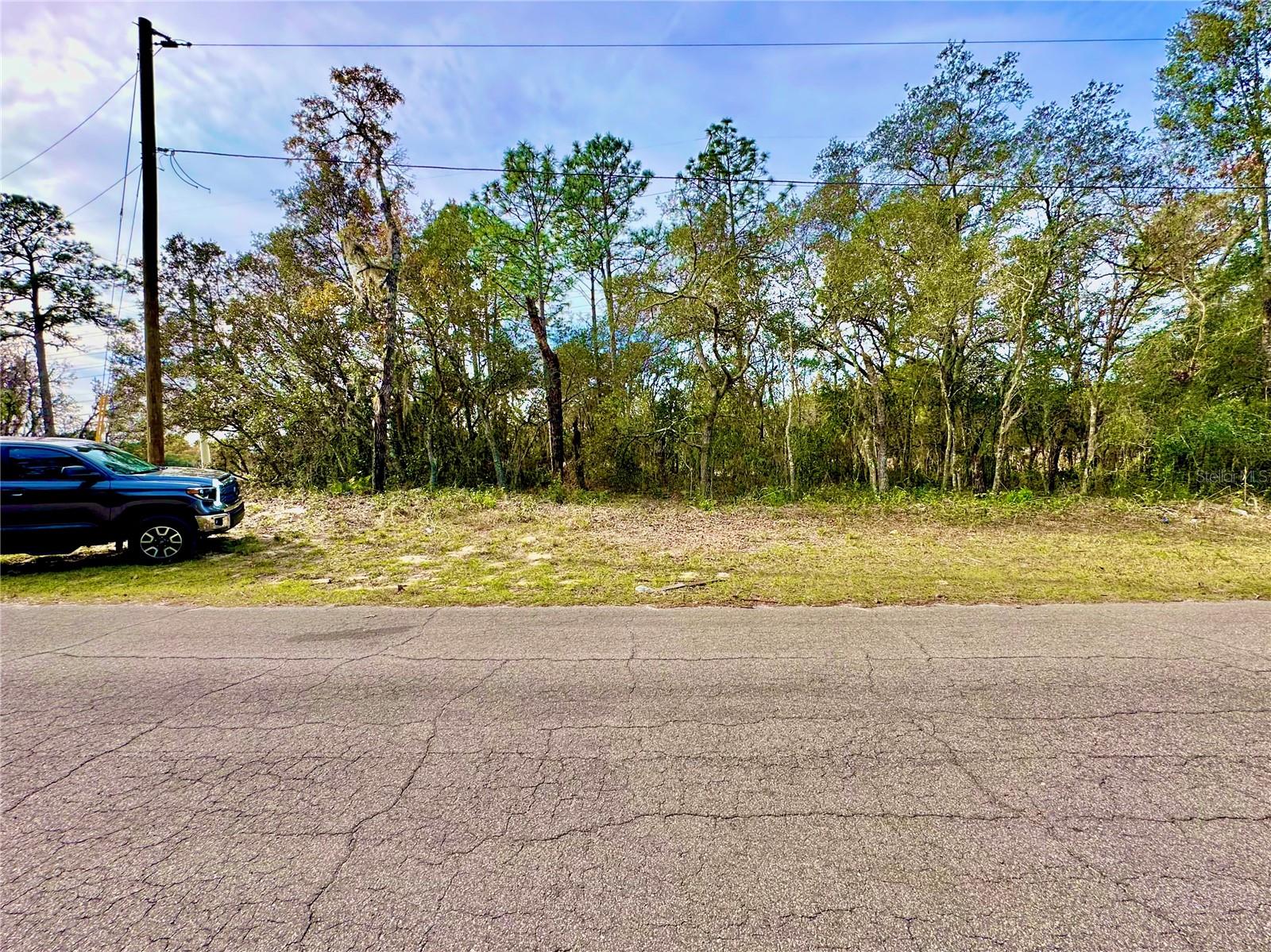 Listing Details for Tbd 155th Street Road, OCALA, FL 34473