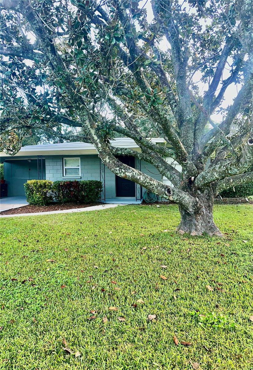 Details for 5441 Davisson Avenue, ORLANDO, FL 32810