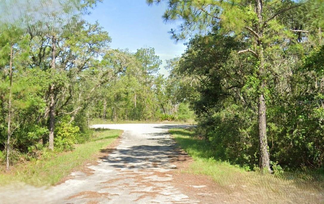 Details for Malauka Loop Trace, OCKLAWAHA, FL 32179