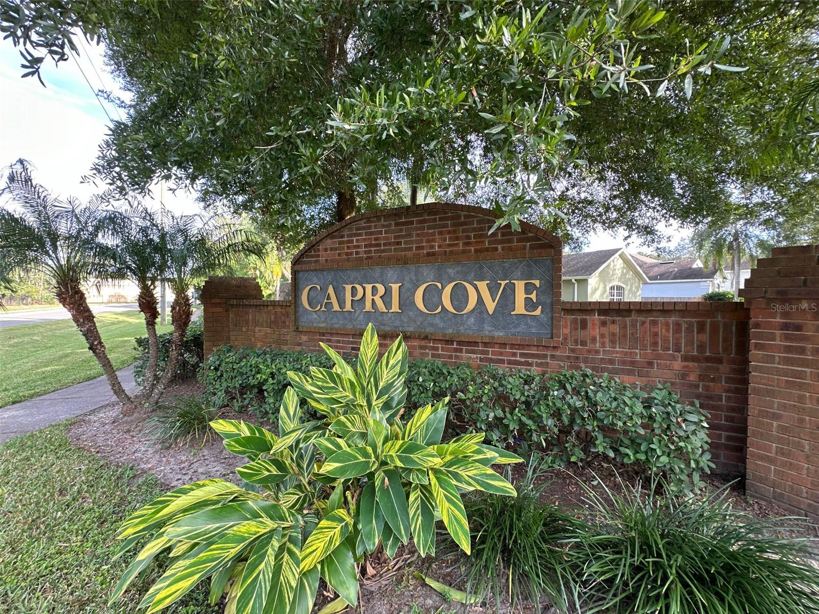 Image 6 of 46 For 201 Capri Cove Place