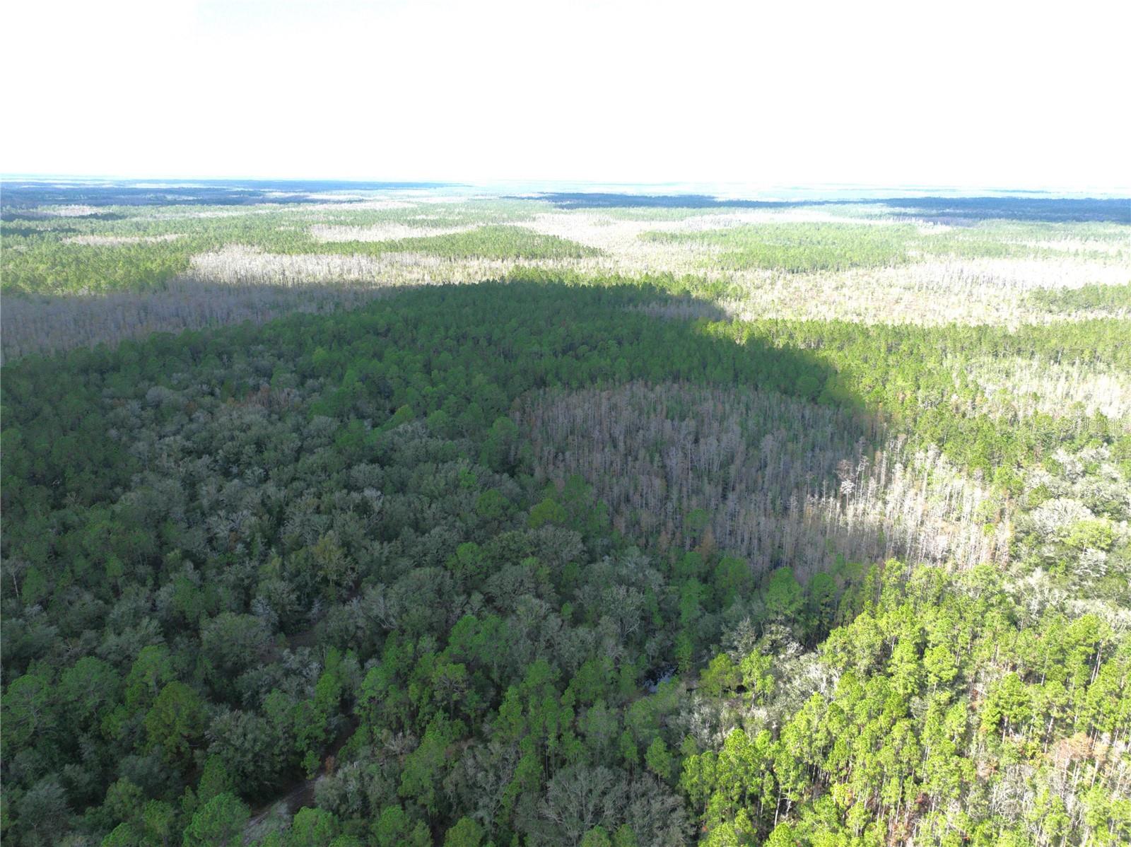 Image 8 of 39 For  Water Road 