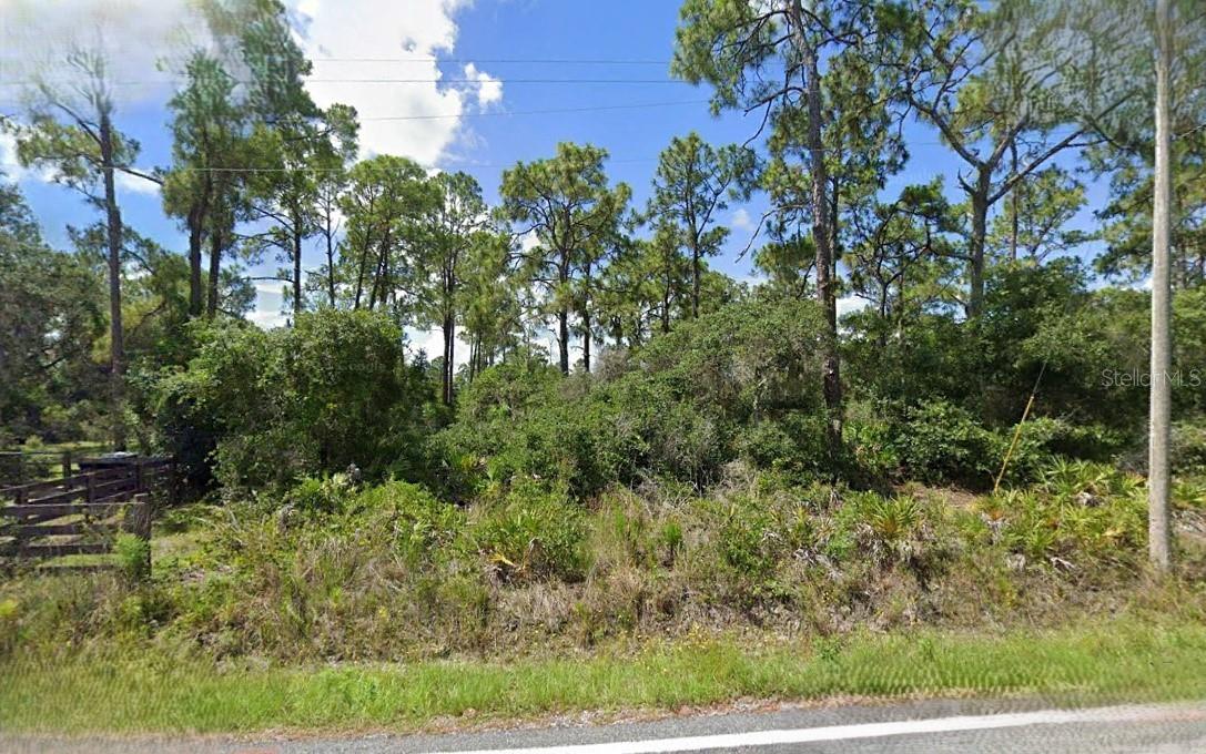 Details for Rosalie Lake Road, LAKE WALES, FL 33898