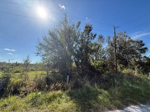 Details for Whippoorwill Lane, WAUCHULA, FL 33873