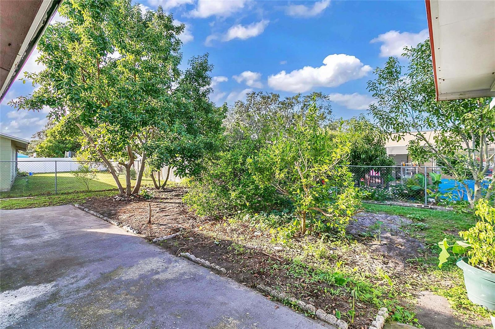 Image 16 of 28 For 448 Ball Court