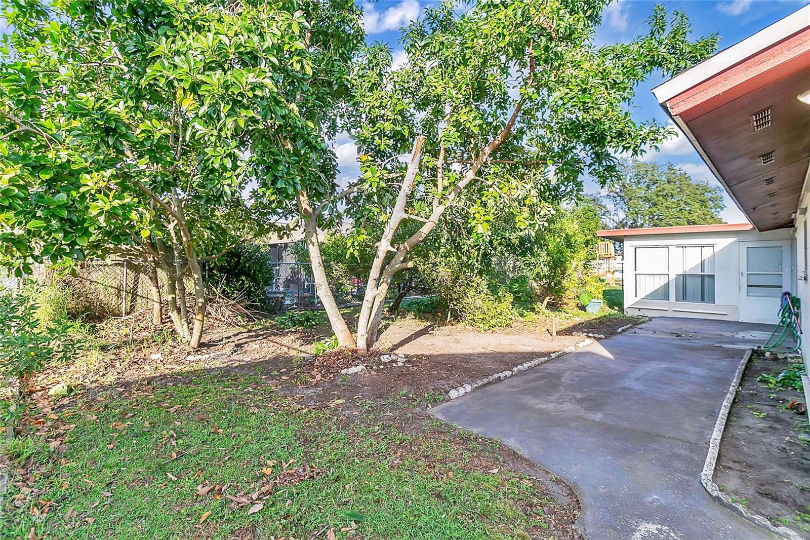Image 17 of 28 For 448 Ball Court
