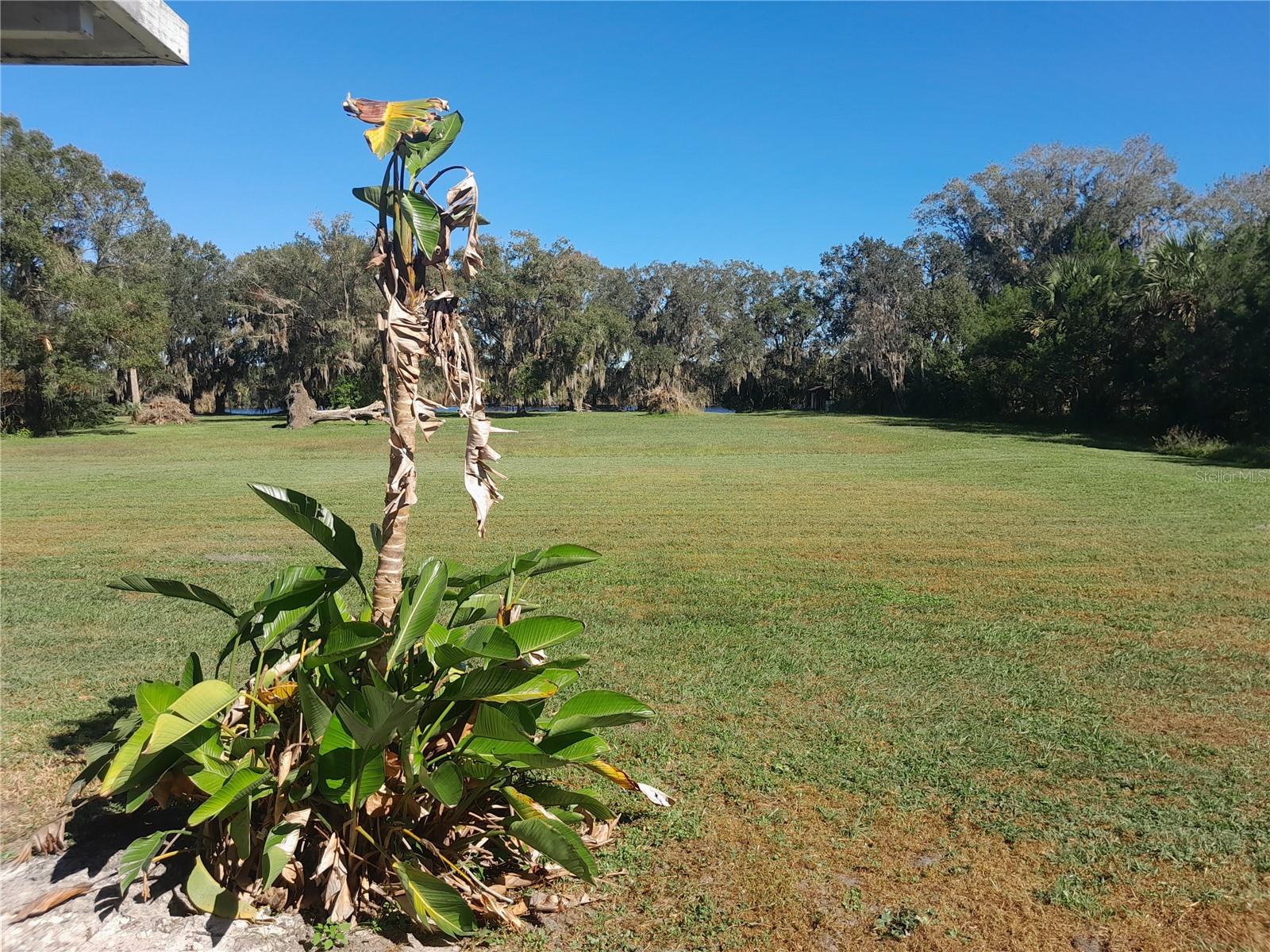 Image 6 of 88 For 2607 Osceola Bluff Lane