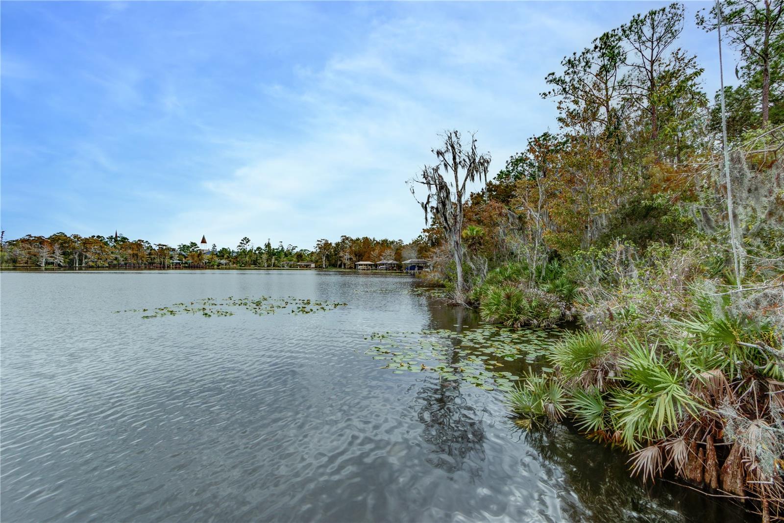 Image 80 of 90 For 723 Long Lake Drive