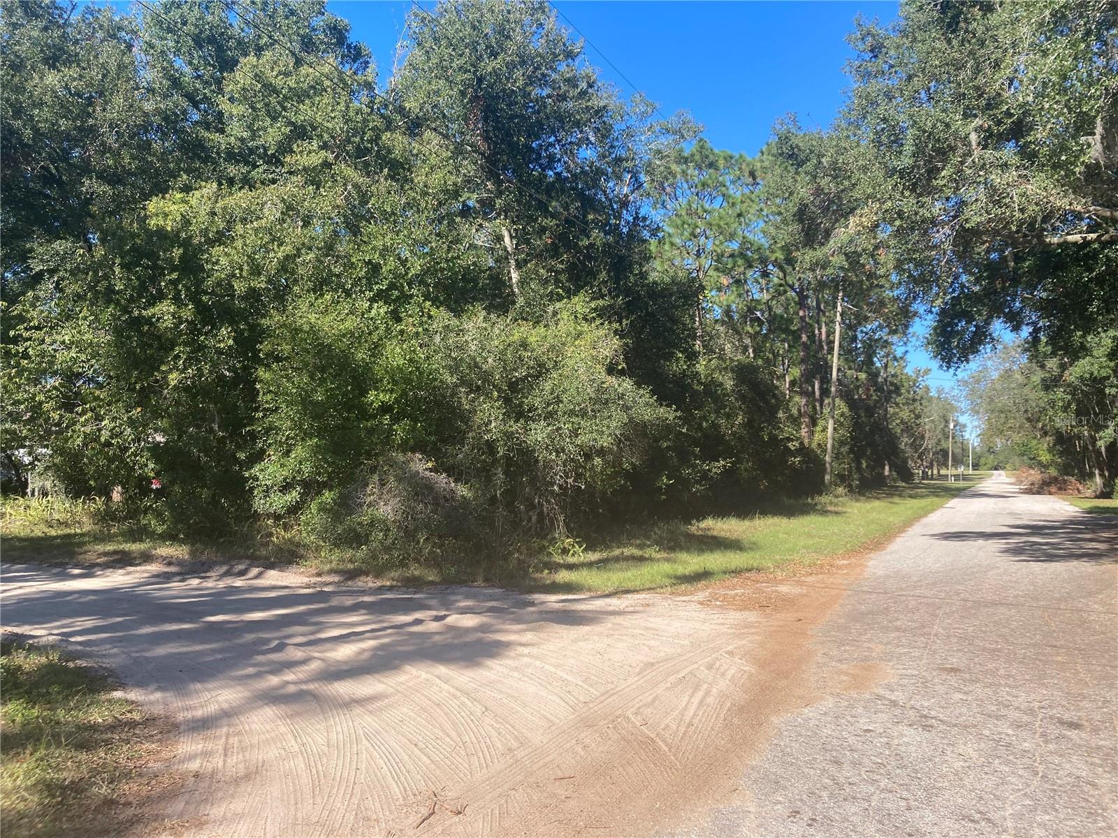 Details for Eighth Avenue, UMATILLA, FL 32784