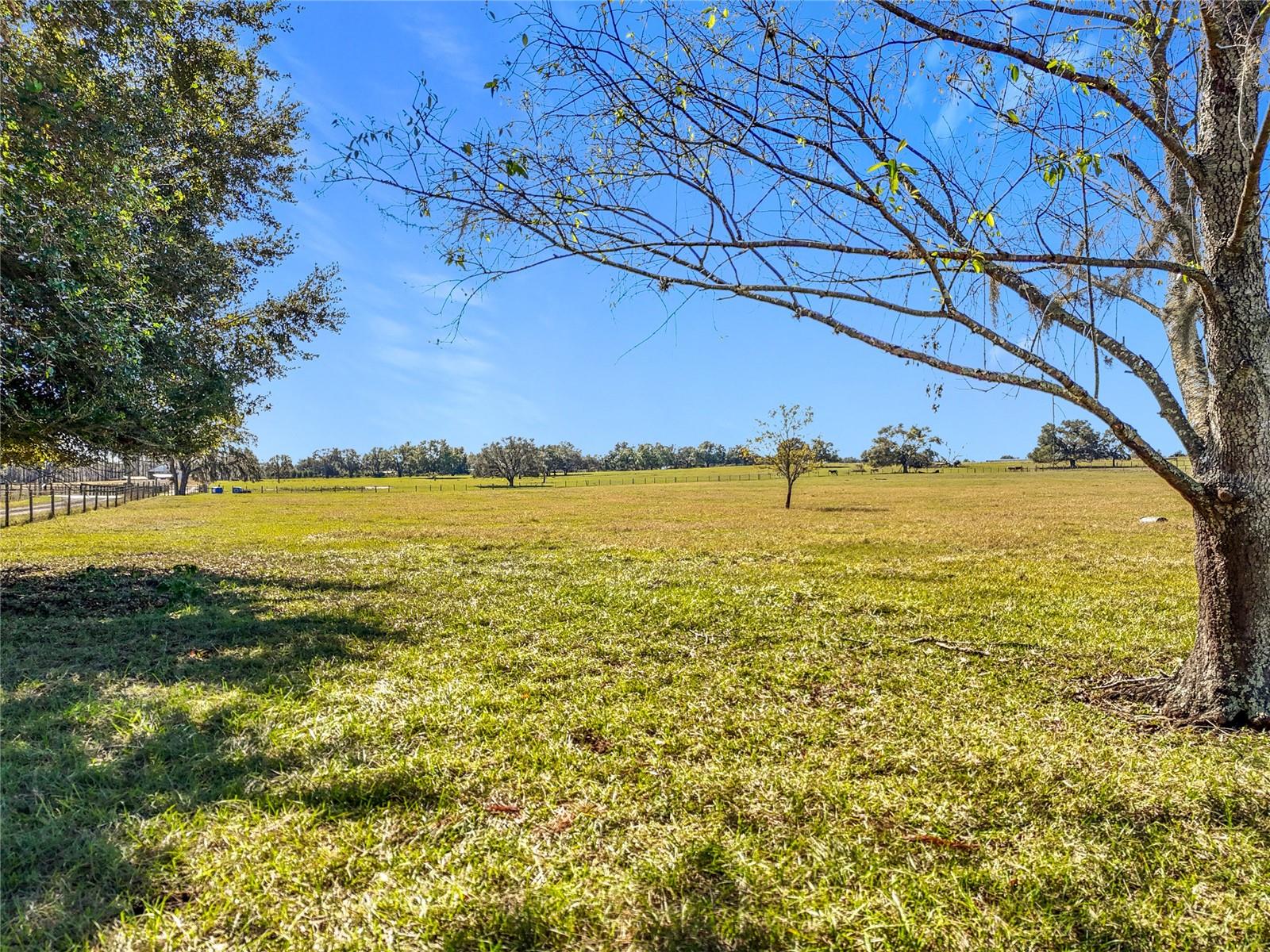 Details for Cockatoo Lane, GROVELAND, FL 34736