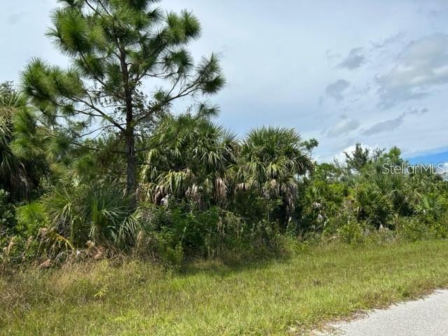 Details for 10027 Hackensack Street, PORT CHARLOTTE, FL 33981
