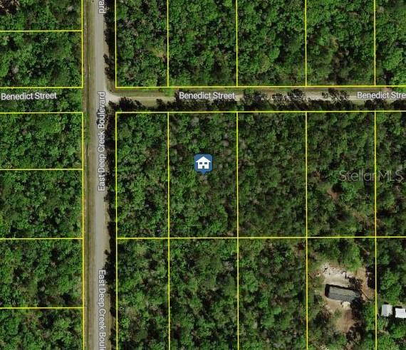 Details for 4795 Benedict Street, HASTINGS, FL 32145