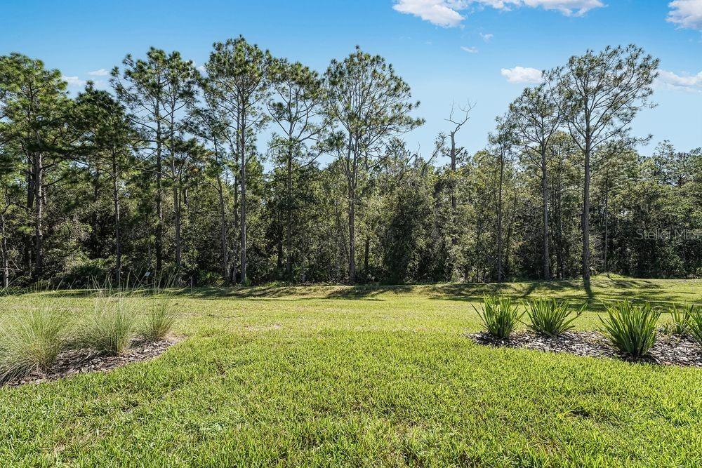 Image 30 of 45 For 919 Tassleflower Trail