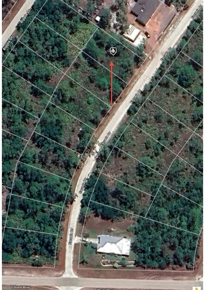 Image 2 of 8 For 12241 Escuela Drive