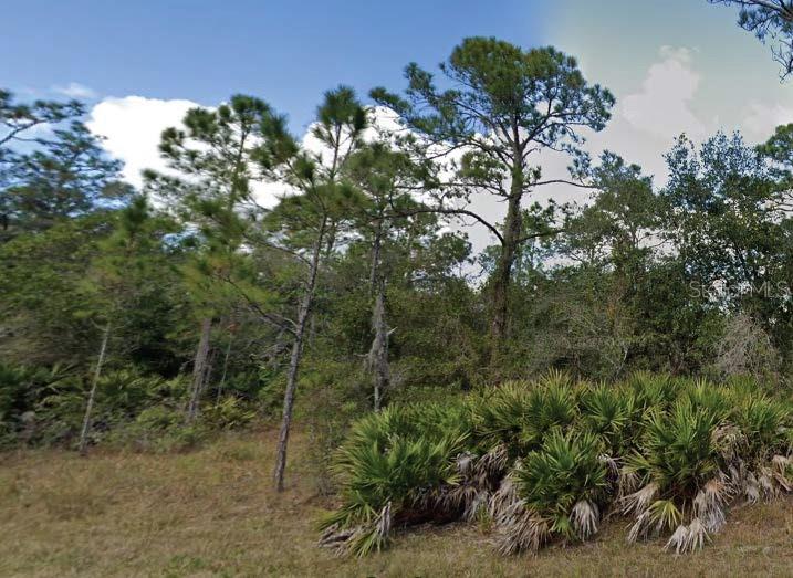 Listing Details for 901 Magnolia Drive, INDIAN LAKE ESTATES, FL 33855