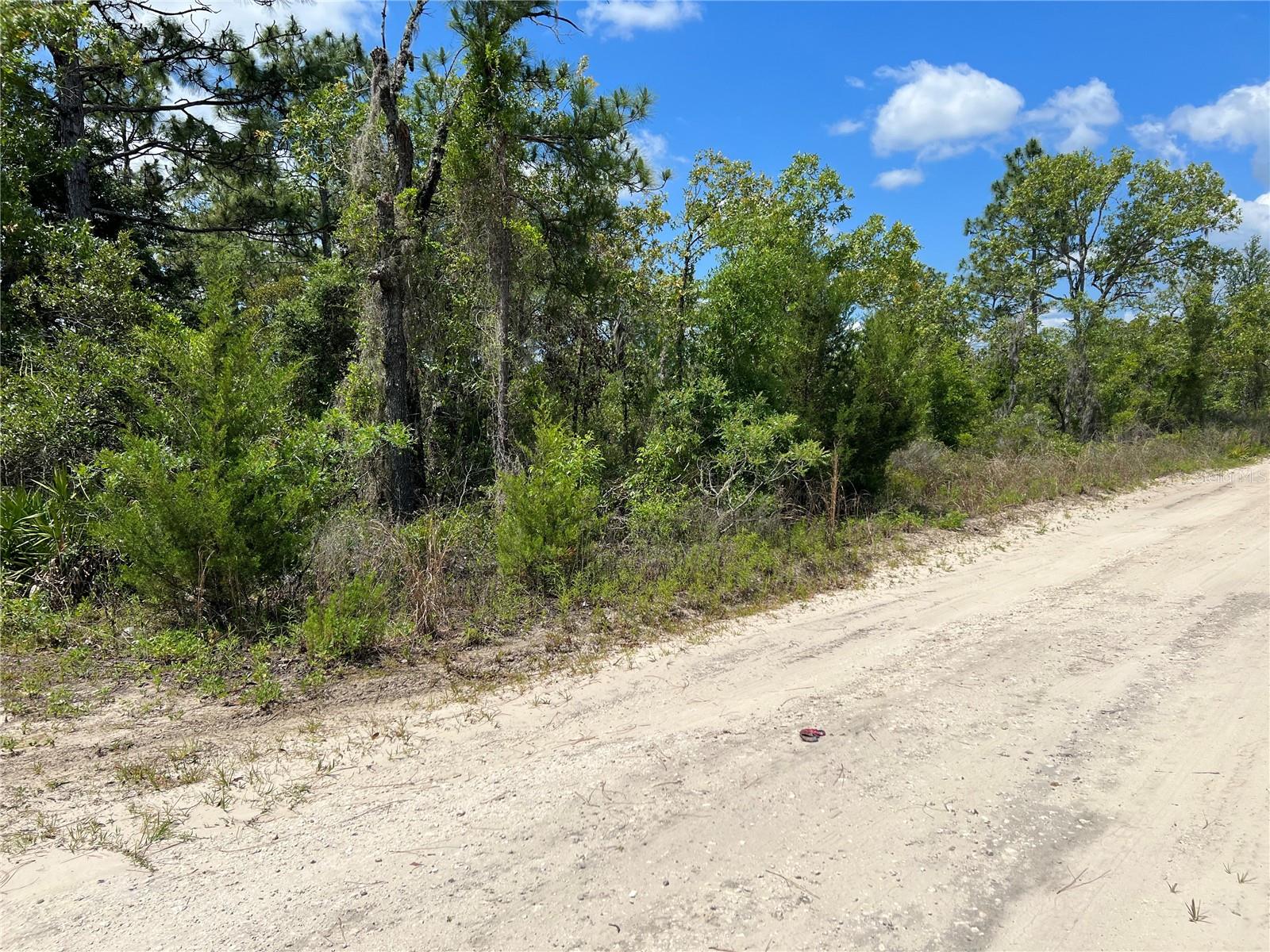 Details for  66th Lane , WILLISTON, FL 32696