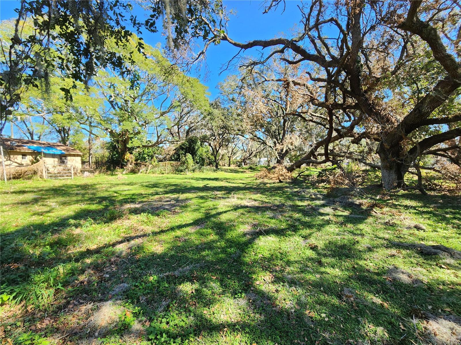 Image 8 of 15 For 11609 Leonard Avenue