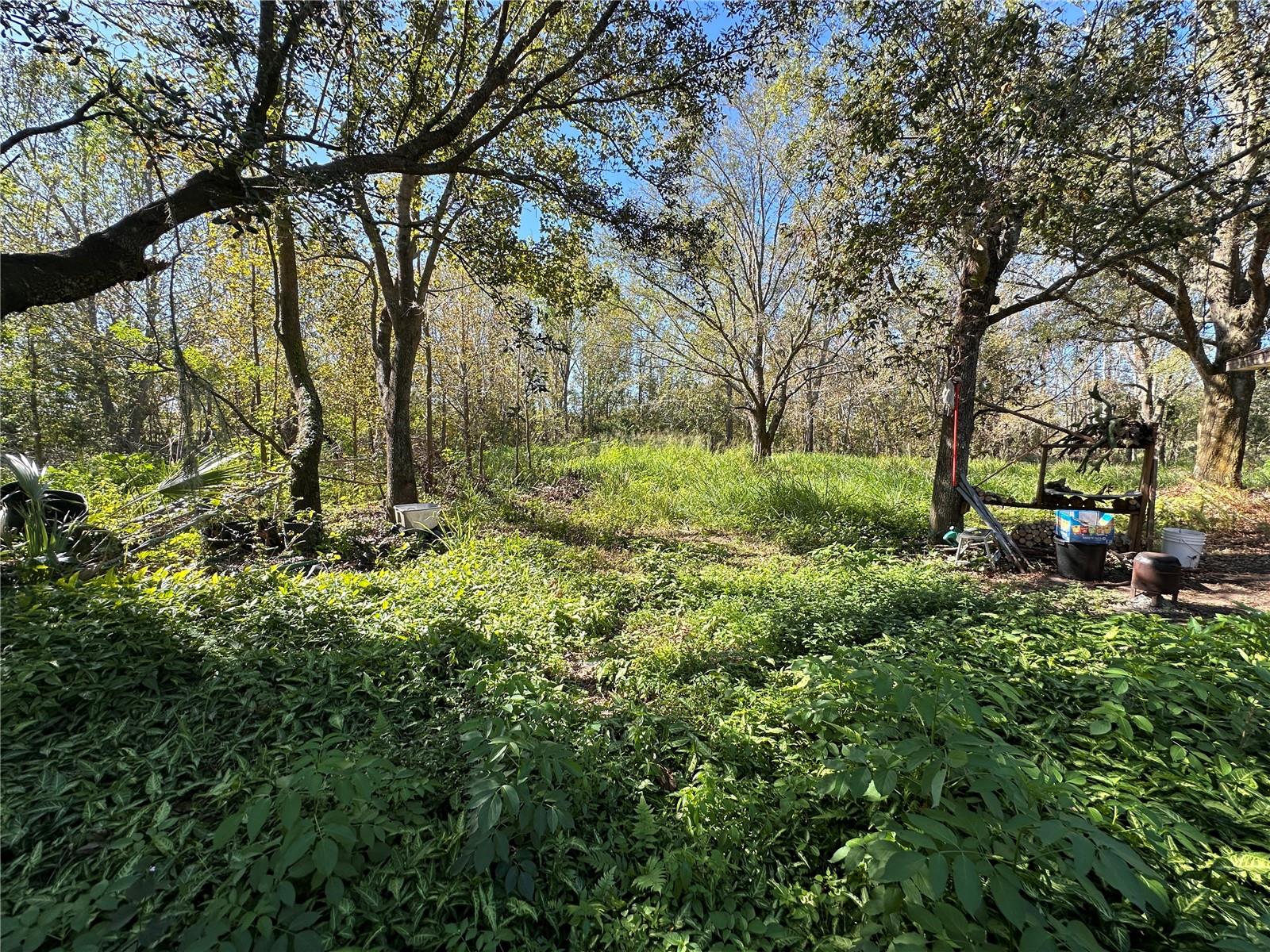 Image 9 of 39 For 6301 State Road 60 E