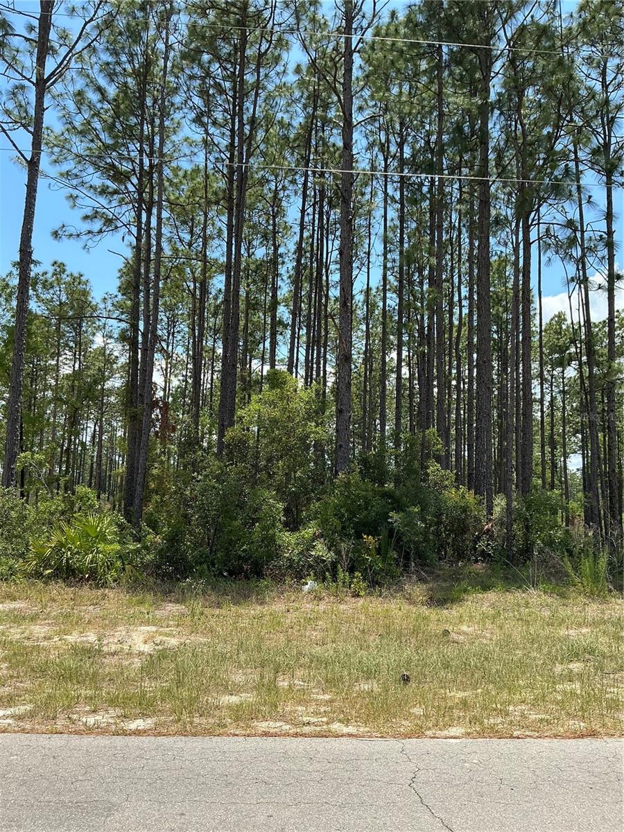 Image 4 of 4 For  Sw 81st Cir  