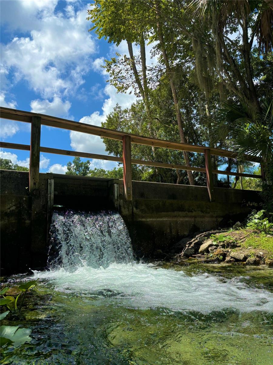 Image 5 of 73 For 209 Tomoka Trail 209