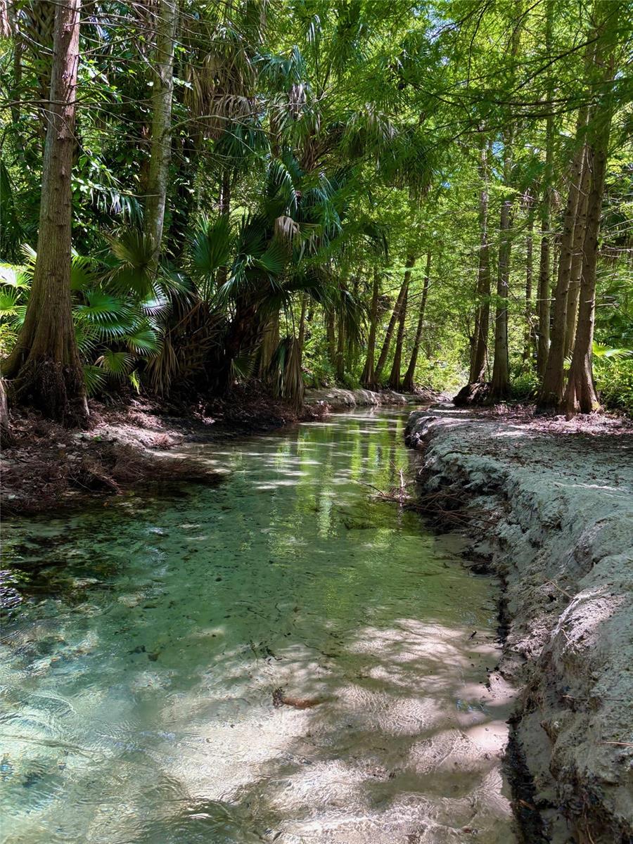 Image 7 of 73 For 209 Tomoka Trail 209