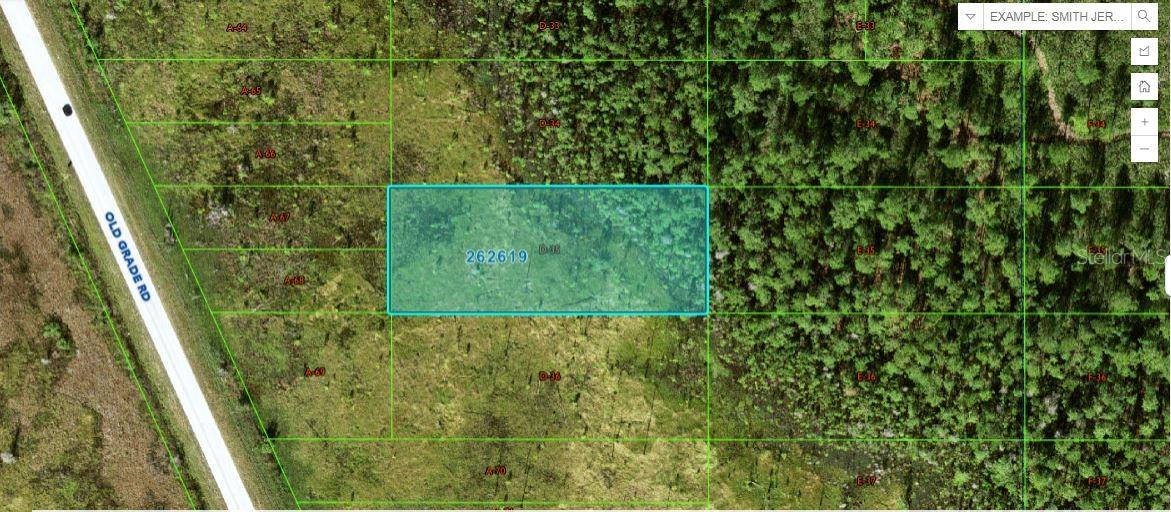 Listing Details for Old Grade Road, POLK CITY, FL 33868