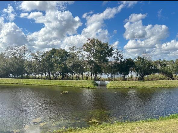 Image 8 of 8 For 4308 Banjo Lake Road