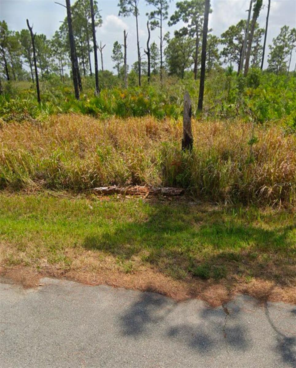 Listing Details for 8225 Domenico Street, SEBRING, FL 33872