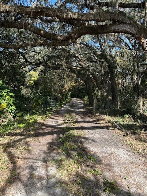 Image 2 of 38 For 1918 Mountain Lake Cutoff Road