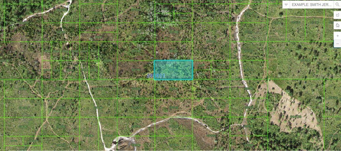 Details for Tiger Lake Rd, LAKE WALES, FL 33898