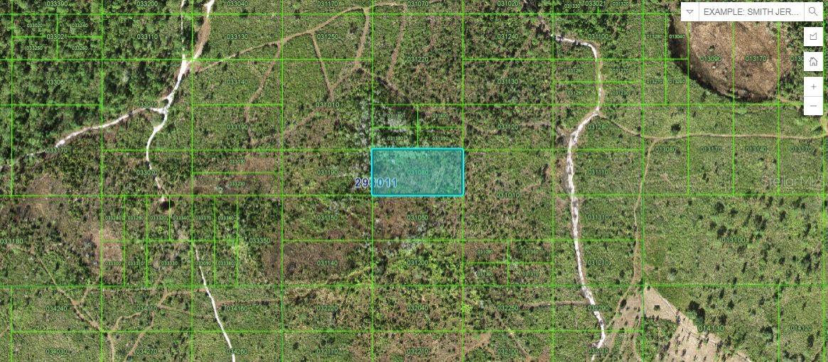 Details for Tiger Lake Rd, LAKE WALES, FL 33898