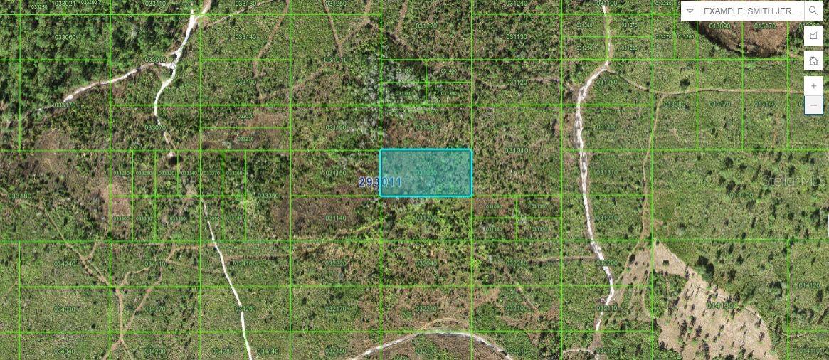Details for Tiger Lake Rd, LAKE WALES, FL 33898