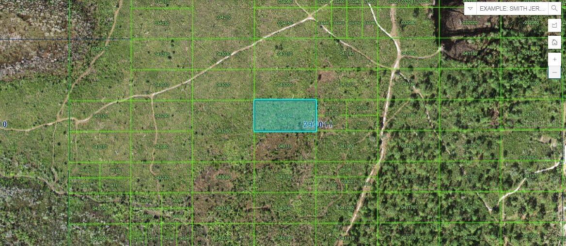 Details for Tiger Lake Road, LAKE WALES, FL 33898