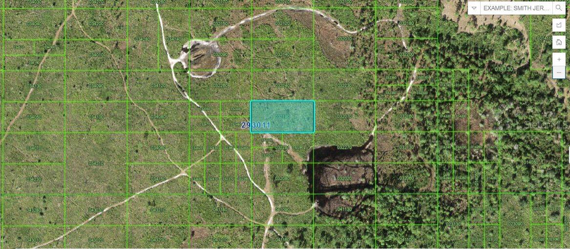 Details for Tiger Lake Road, LAKE WALES, FL 33898