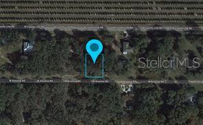 Listing Details for 3122 Chelsea Road, AVON PARK, FL 33825