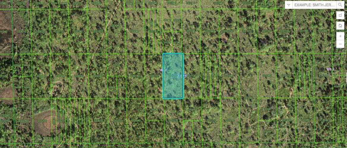 Listing Details for Shady Oaks Dr, LAKE WALES, FL 33898