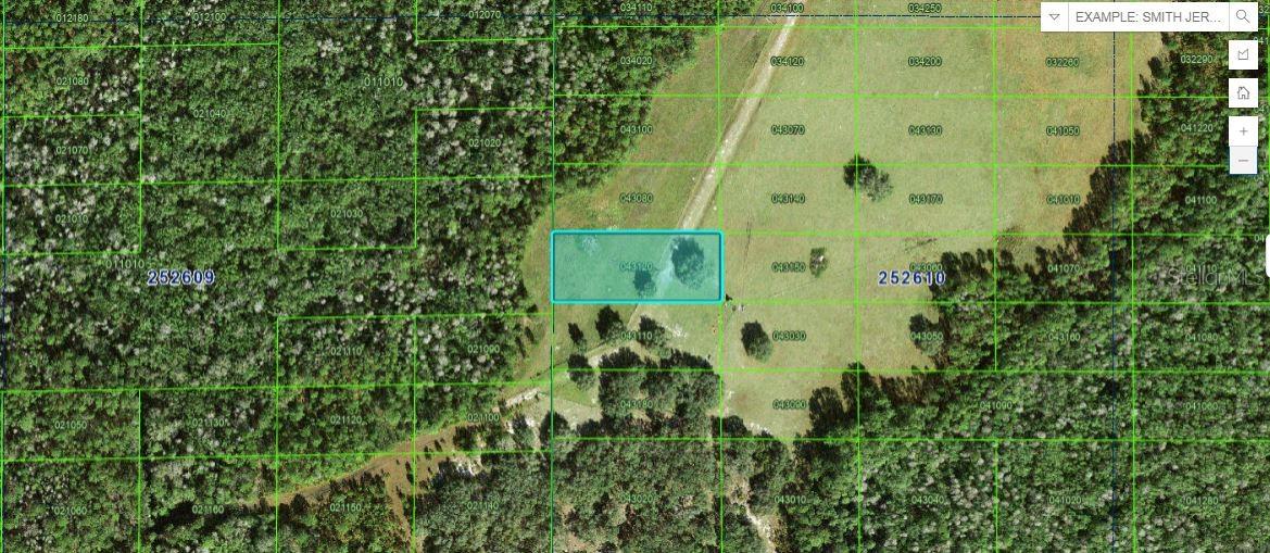 Listing Details for Backland Path Road, POLK CITY, FL 33868