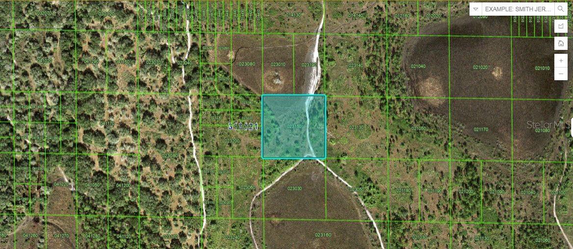 Listing Details for River Ranch Rd, LAKE WALES, FL 33898