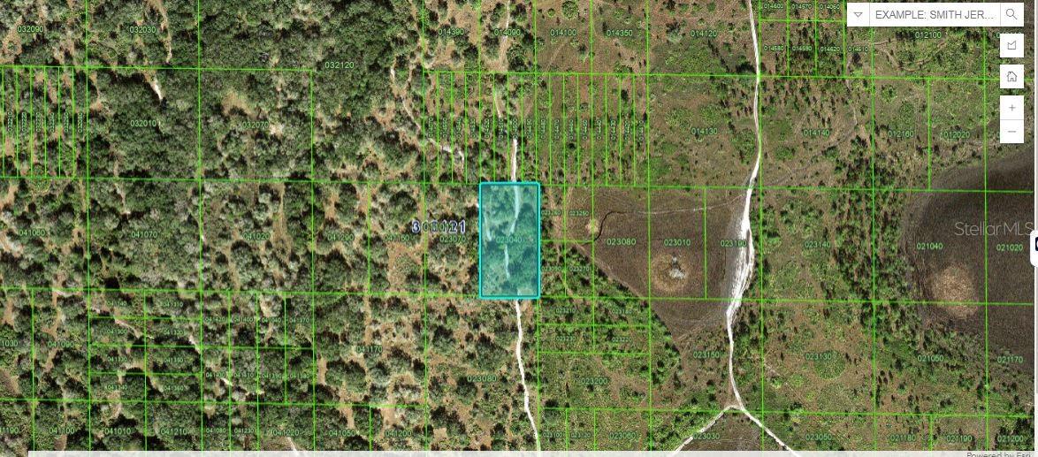 Listing Details for River Ranch Rd, LAKE WALES, FL 33898
