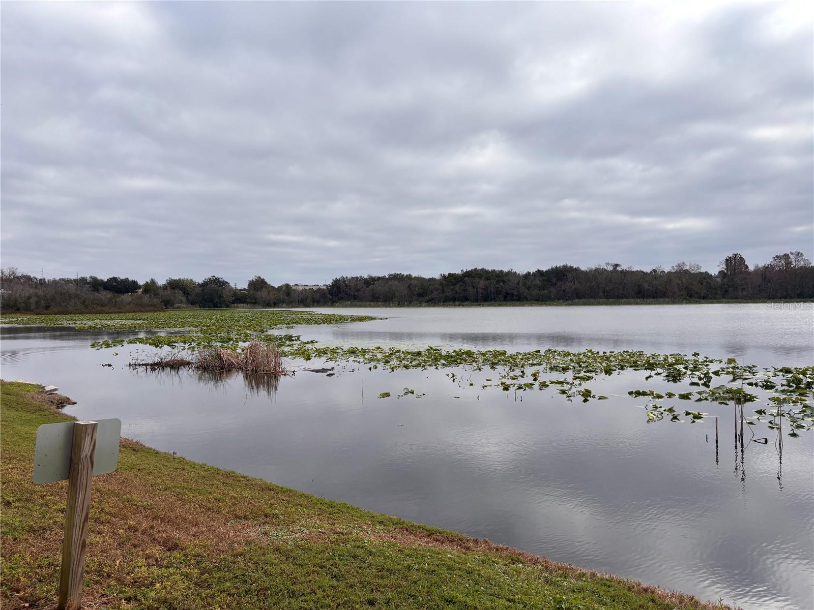 Image 12 of 12 For 145 Pearl Lake Causeway 102