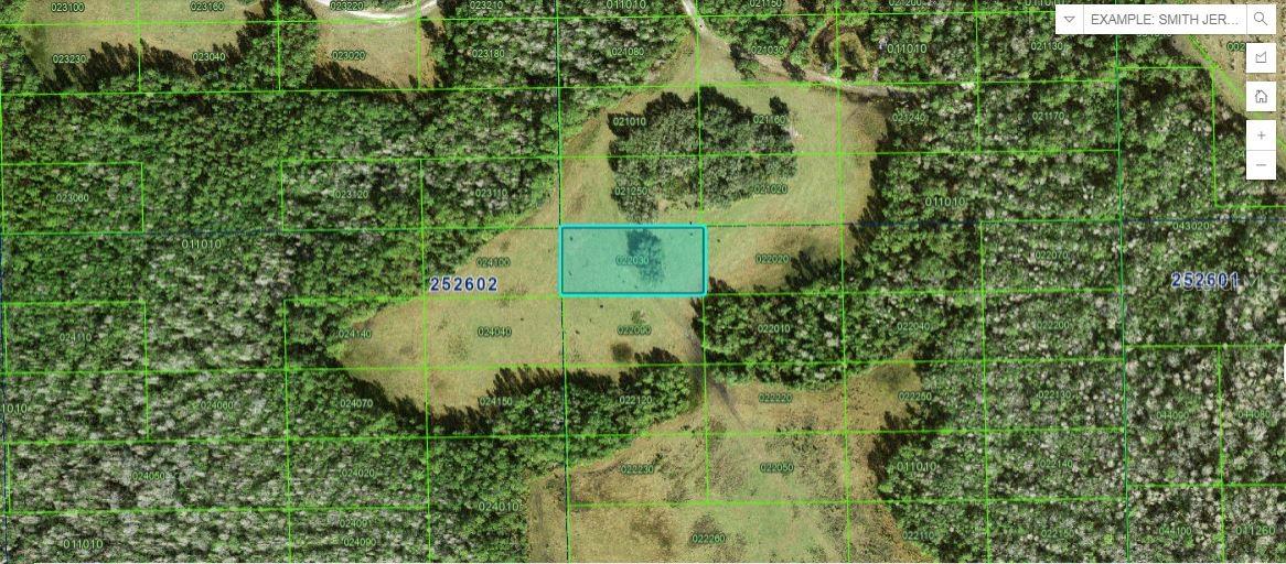 Listing Details for Deen Still Road, POLK CITY, FL 33868