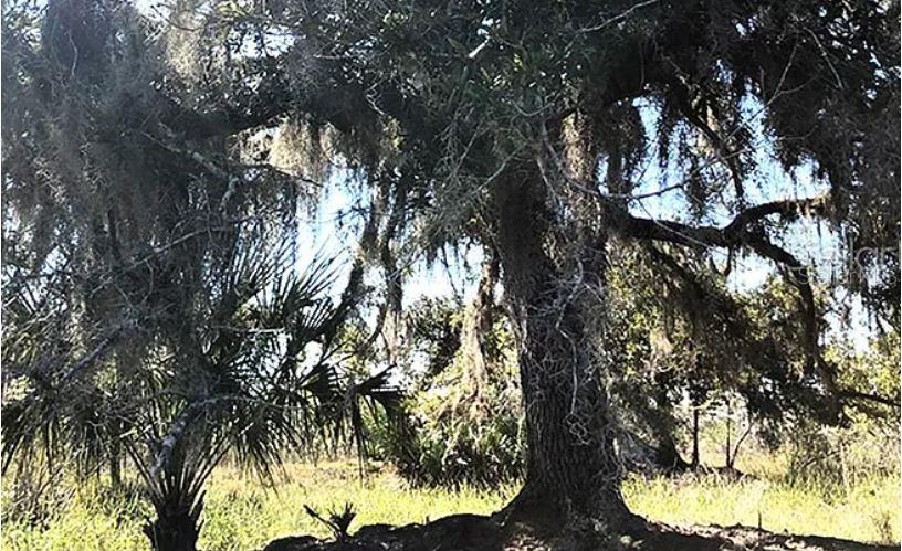 Image 2 of 2 For  Hwy 60 E  