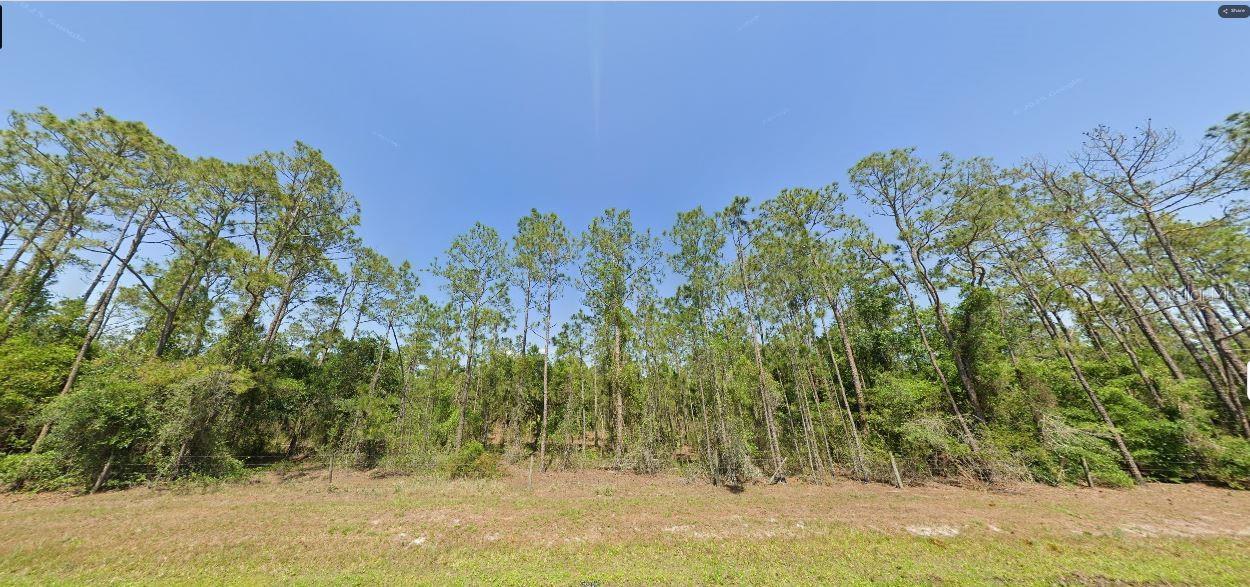 Image 2 of 2 For River Ranch Boulevard