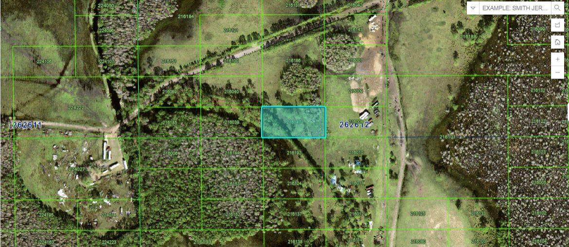 Listing Details for North Ridge Trl, DAVENPORT, FL 33897