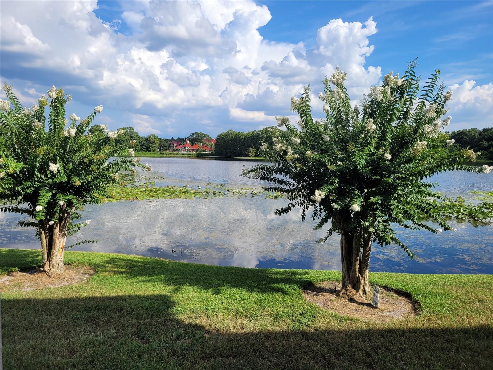 Image 20 of 21 For 155 Pearl Lake Causeway 200